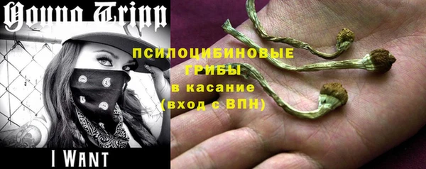 круглые Аркадак